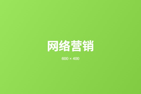 网络营销